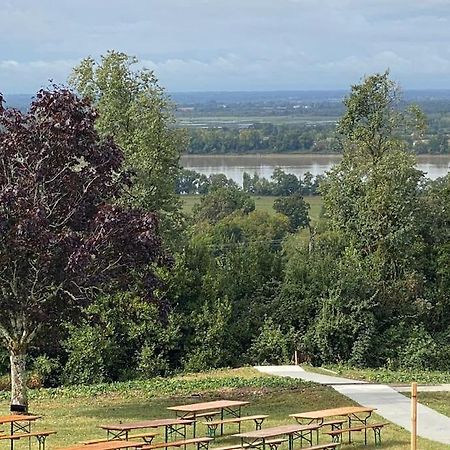 « Chez Nath Et Chris » Leilighet Saint-André-de-Cubzac Eksteriør bilde
